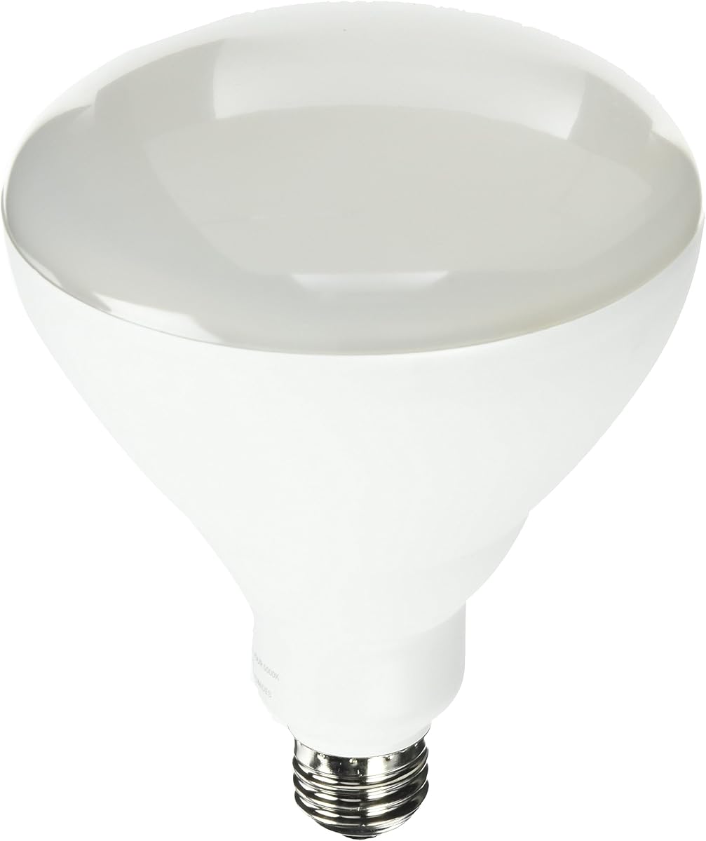 BR40/DM/5K/LED 65W Equivalent Daylight Dimmable LED Br40 Light