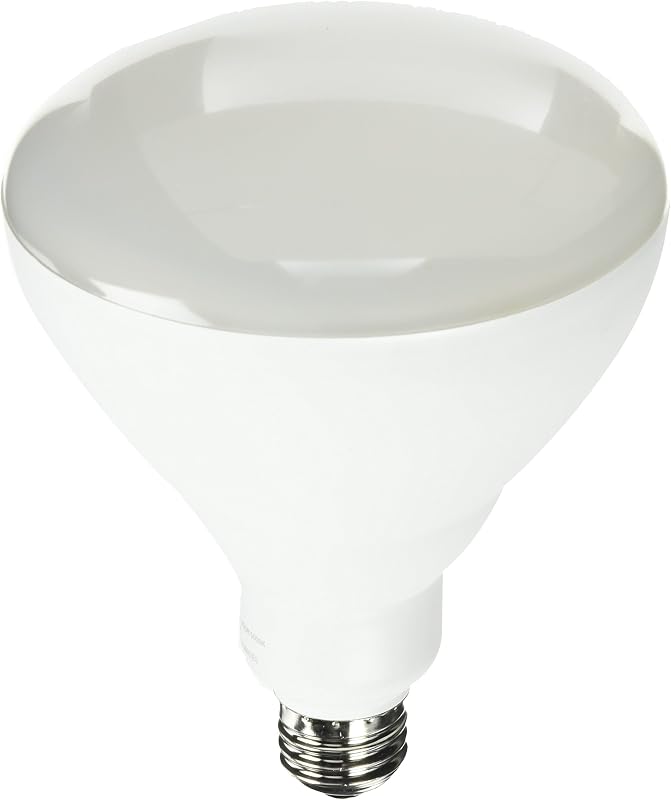 BR40/DM/5K/LED 65W Equivalent Daylight Dimmable LED Br40 Light