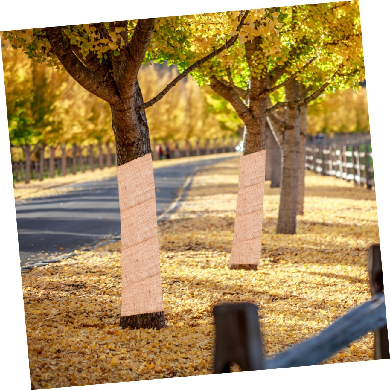 Kisangel Juta per Protezione Alberi e Piante Giardino Avvolgimento Antifreddo per Tronchi Materiale Naturale Riutilizzabile Facile Installazione e Protezione da Animali Selvatici