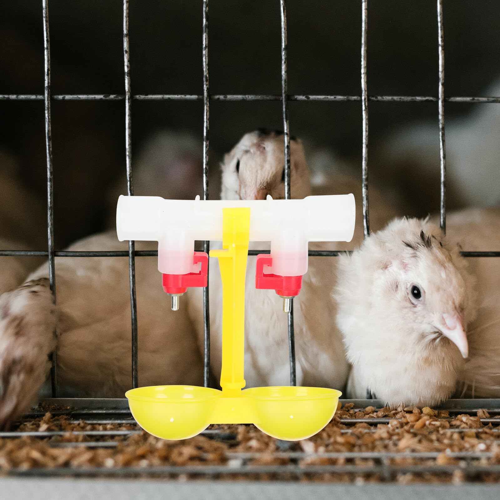 Abbeveratoio Galline Automatico 10 Pezzi, Acciaio Inox e Pp | Capezzolo 360°, Rimovibili, Facile Pulizia, per Quaglie e Polli, Dispenser ad Acqua