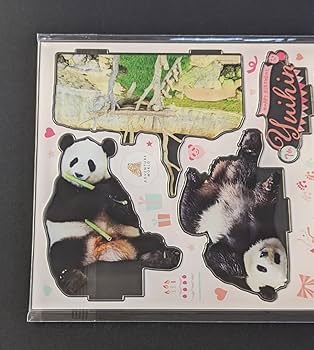 アドベンチャーワールド　結浜　クッション　アクリルスタンド アドベンチャーワールド公式アクリルチェキフレーム(良浜