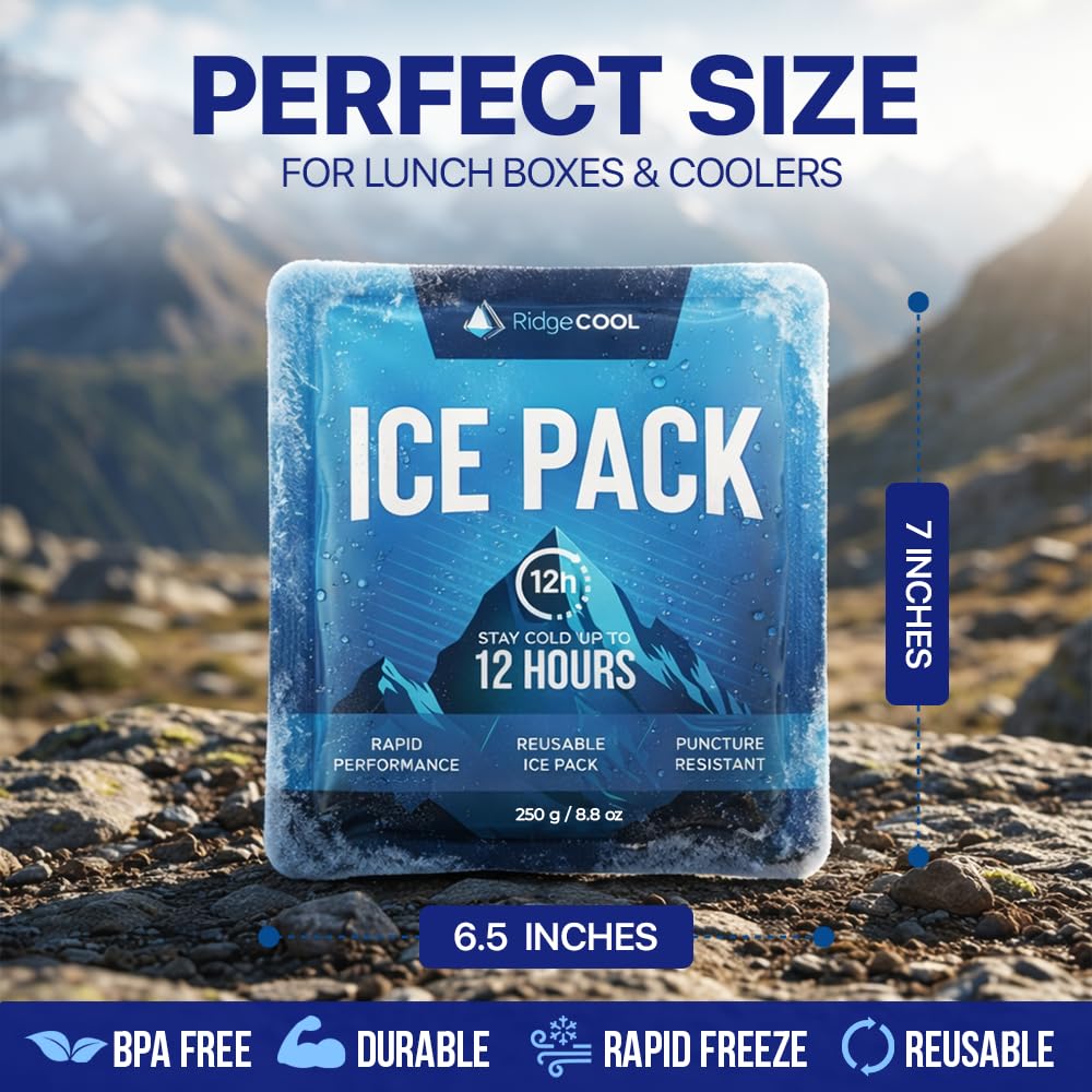 RIDGECOOL 4 Pack Large Reusable Ice Packs for Coolers, Long Lasting Freezer Packs for Cooler Bags and Insulated Totes, Leakproof, BPA-Free, Food Safe - 5