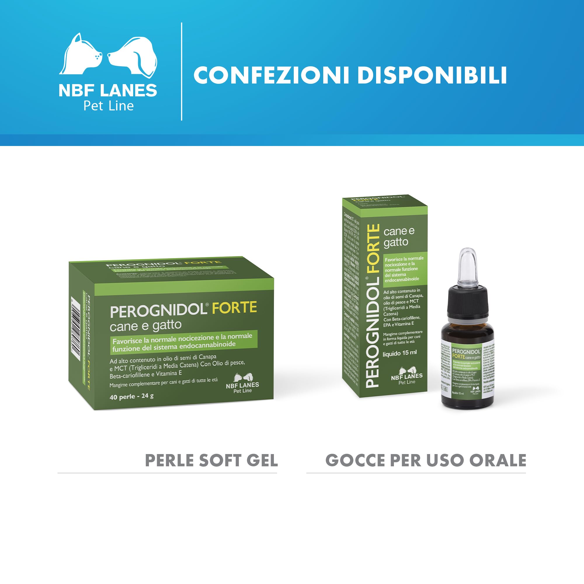 NBF Lanes | Perognidol FORTE Cane e Gatto, 40 perle, Favorisce la Normale Nocicezione e la Normale Funzione del Sistema Endocannabinoide