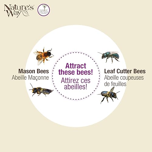 Miniatura 7 de Nature's Way Bird Products PWH1-C Casa de abejas verde azulado