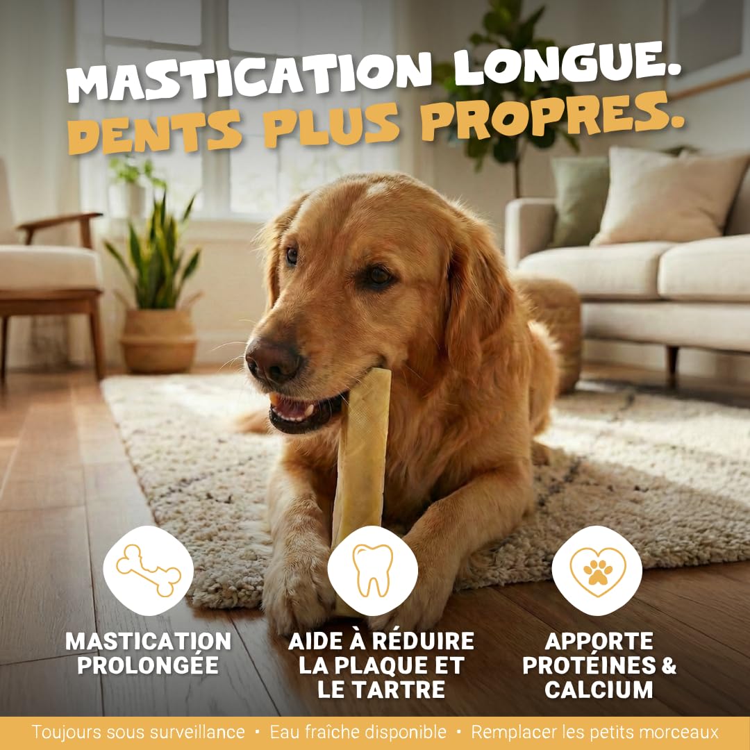 Pets Purest Barres au Lait de Yak de l'Himalayan à Mâcher Large - Friandises Naturelles Os au Fromage - pour Tous Les Ages, Chiots & Les Chiens Agés - Bâtonnets de Protéines & Calcium Longue Durée