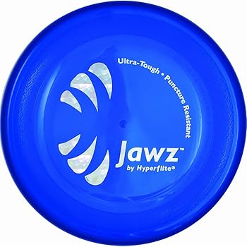 disc dog frisbee