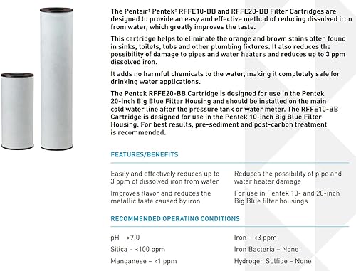 Miniatura 3 de Pentair Pentek RFFE20-BB - Filtro de agua azul grande, 20 pulgadas, cartucho de repuesto de reducción de hierro de flujo radial para toda la casa y