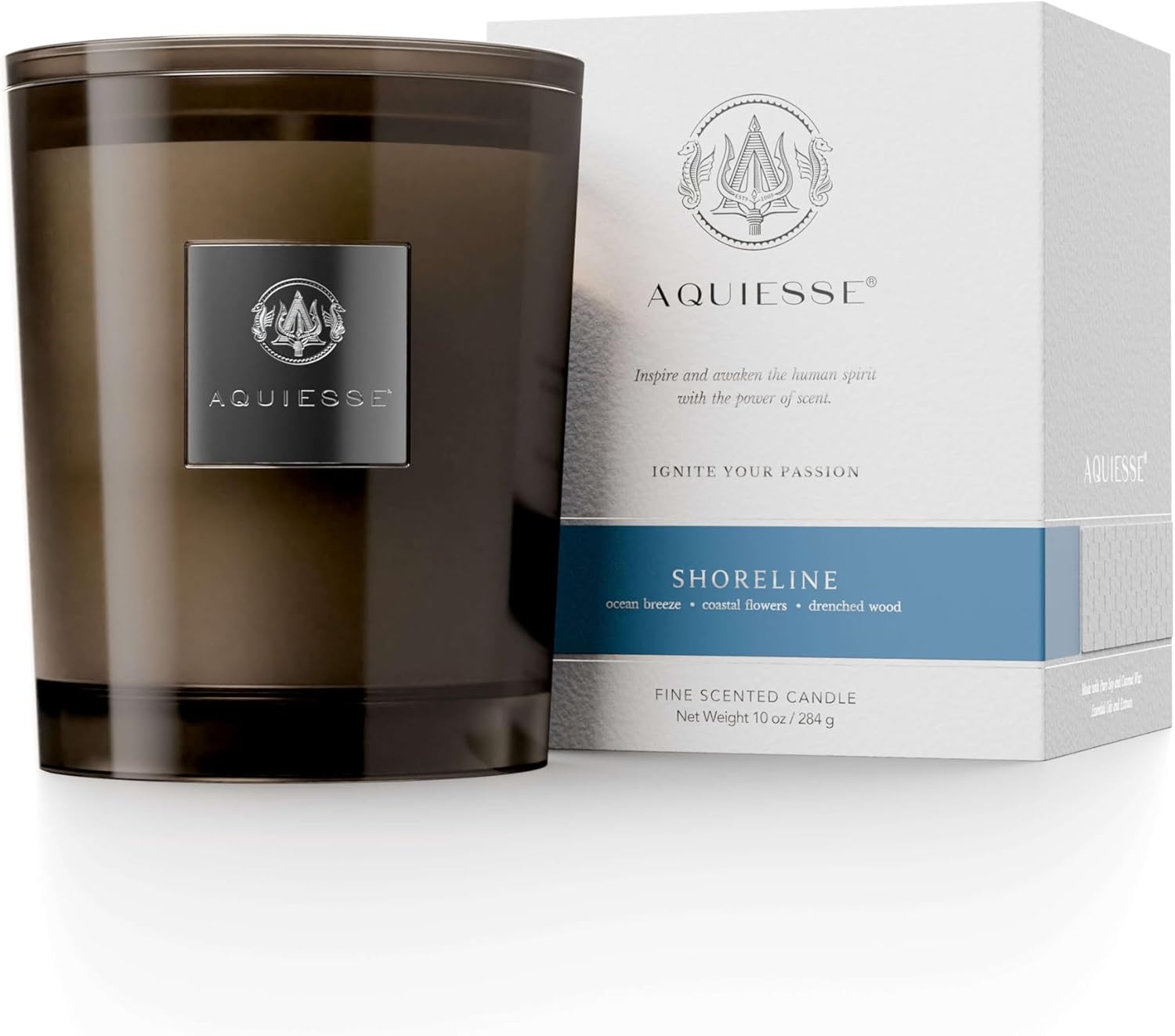 Aquiesse Luxe Linen Large Scented Candle, 10oz