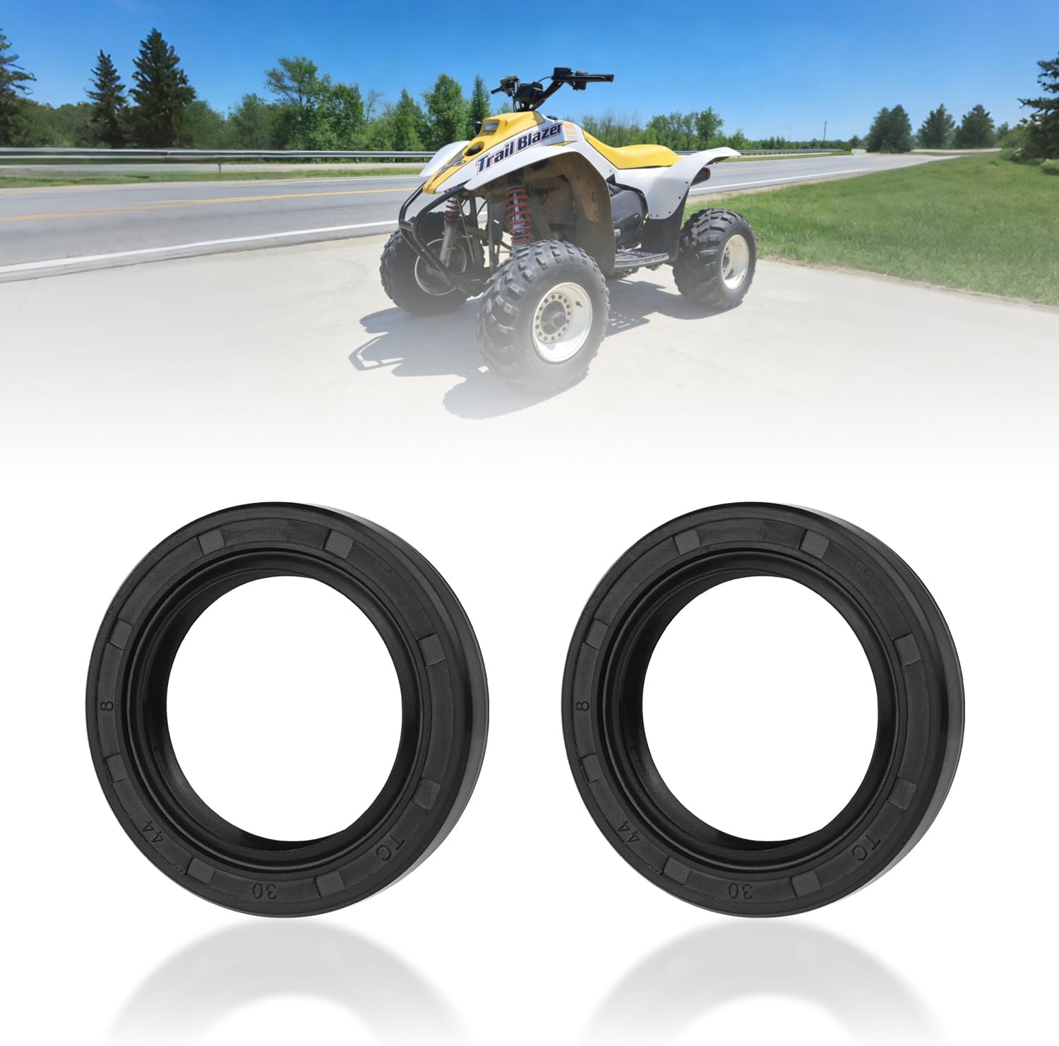 24-2039 Crank Shaft Seal Kit for 1993-2006 Polaris 300 | Trail Blazer 250 | Trail Boss 250 | Xplorer 250 300 | Xpress 300, Replaces 24 2039, 242039