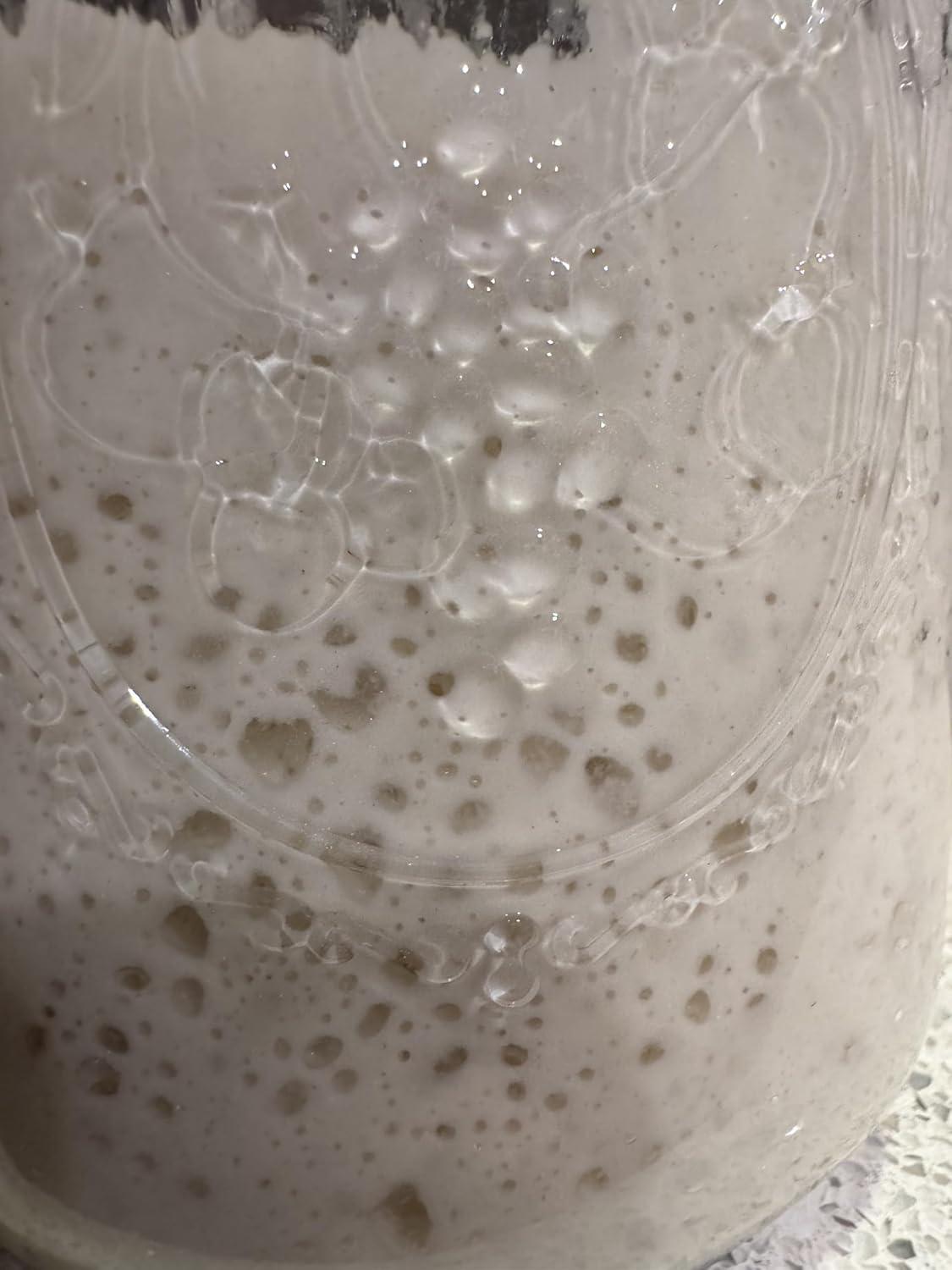 Dehydrated Sourdough Starter Culture Made with King Arthur