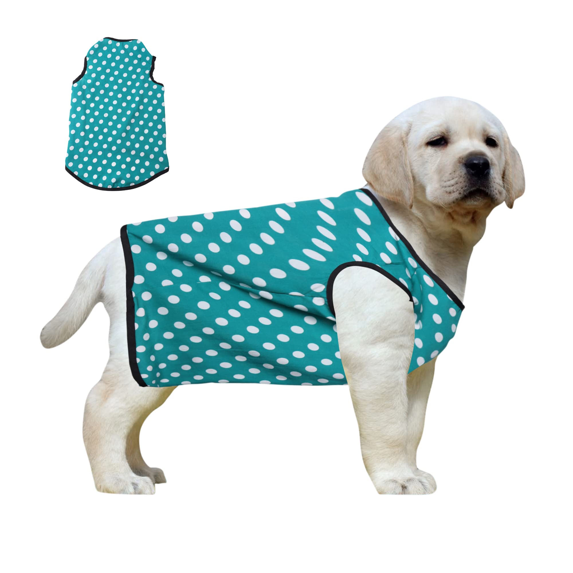 Western Era Funky Soft Cotton Dog T-Shirt, Comfortable Dog Clothing, Sleeveless Vest Puppy Outfit, Apparel (Large - 22inches, Polka Sky Blue) (B09WN73PSP) Amazon Price History, Amazon Price Tracker