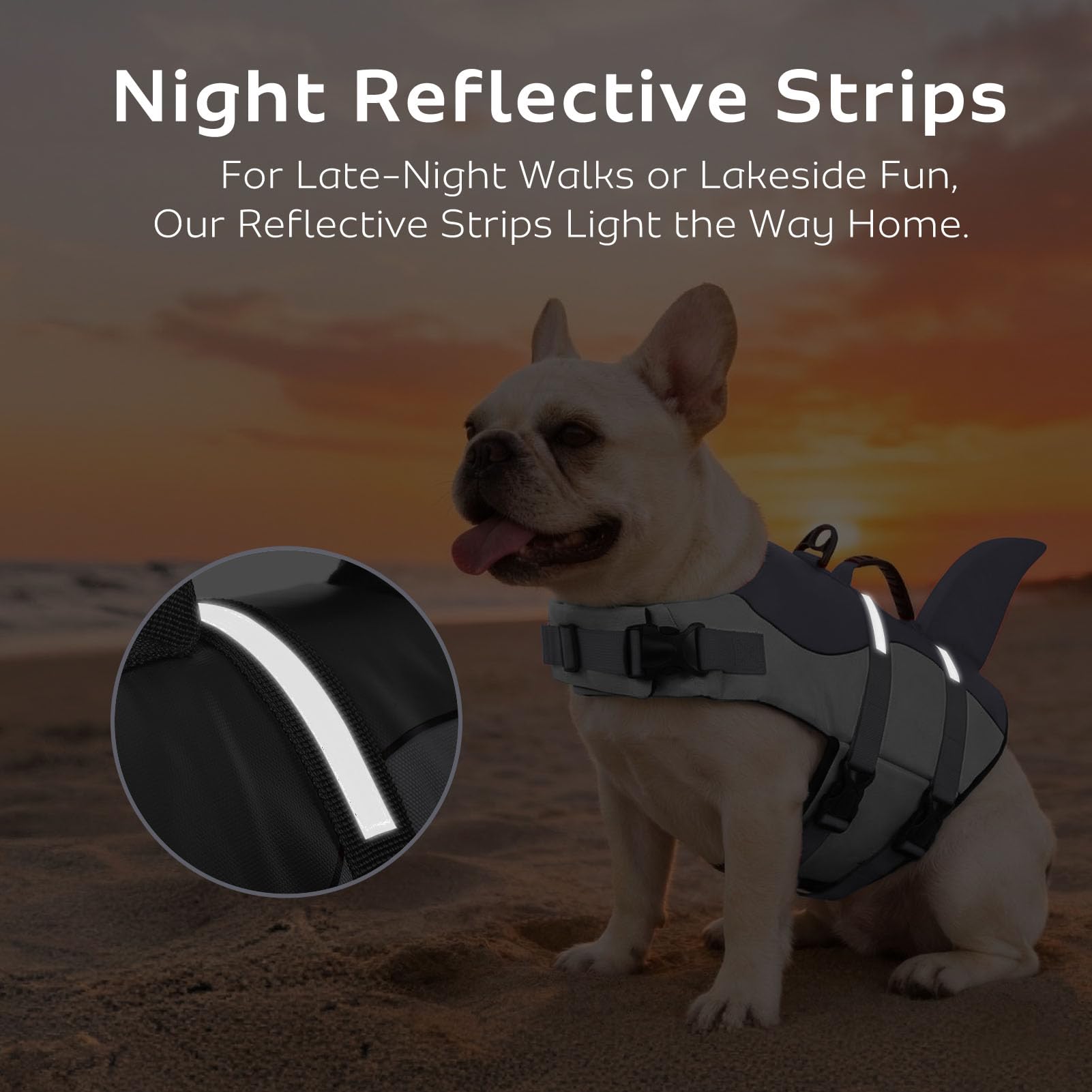 CITÉTOILE Schwimmweste Hund Hai, Hundeschwimmweste & Dog Life Jacket Verstellbar mit Griff und Reflektoren, Rettungsweste für Kleine Mittel Große Hunde & Welpen zum Schwimmen, Bootfahren, Surfen