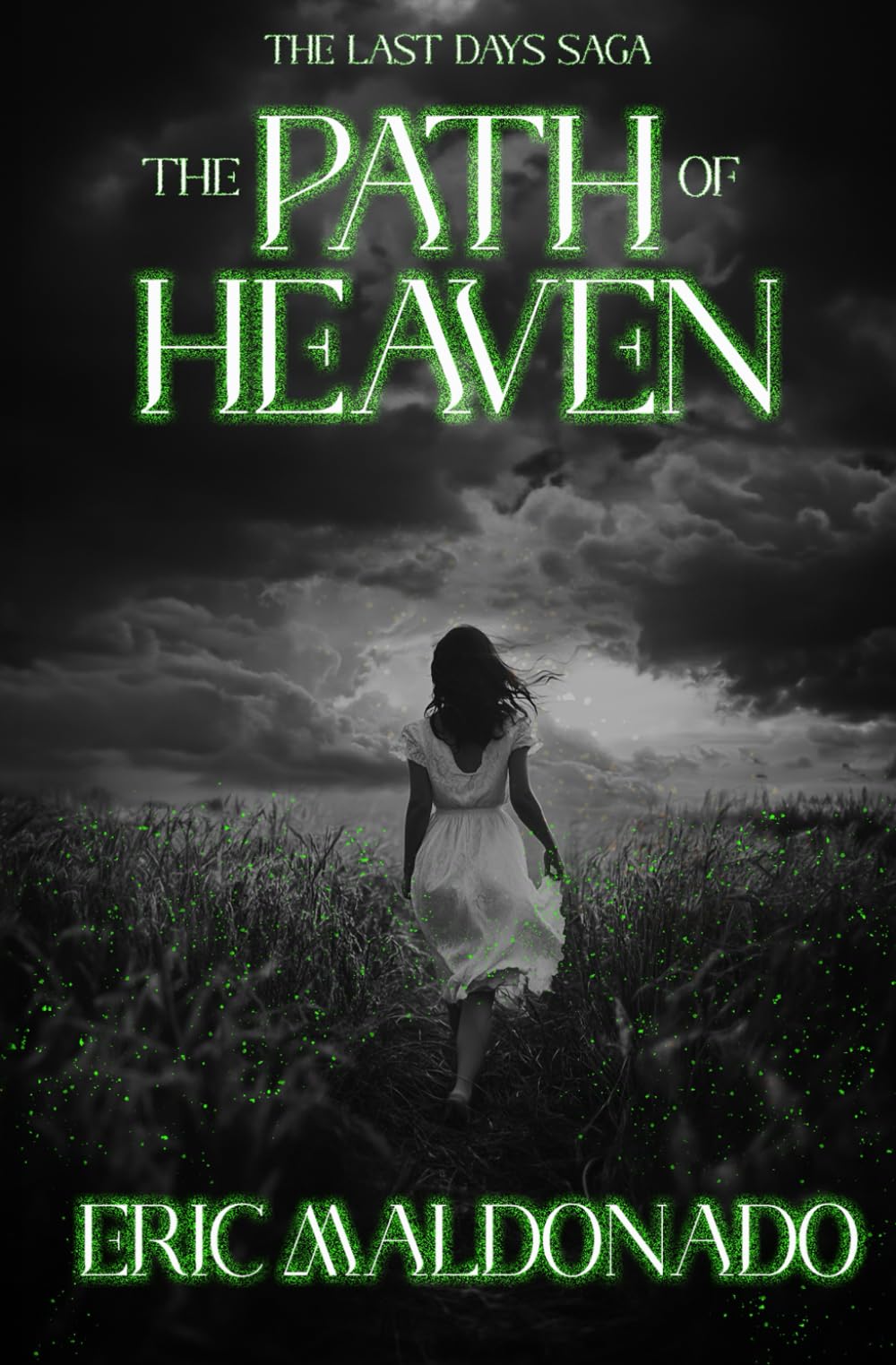 The Path Of Heaven (The Last Days Saga)