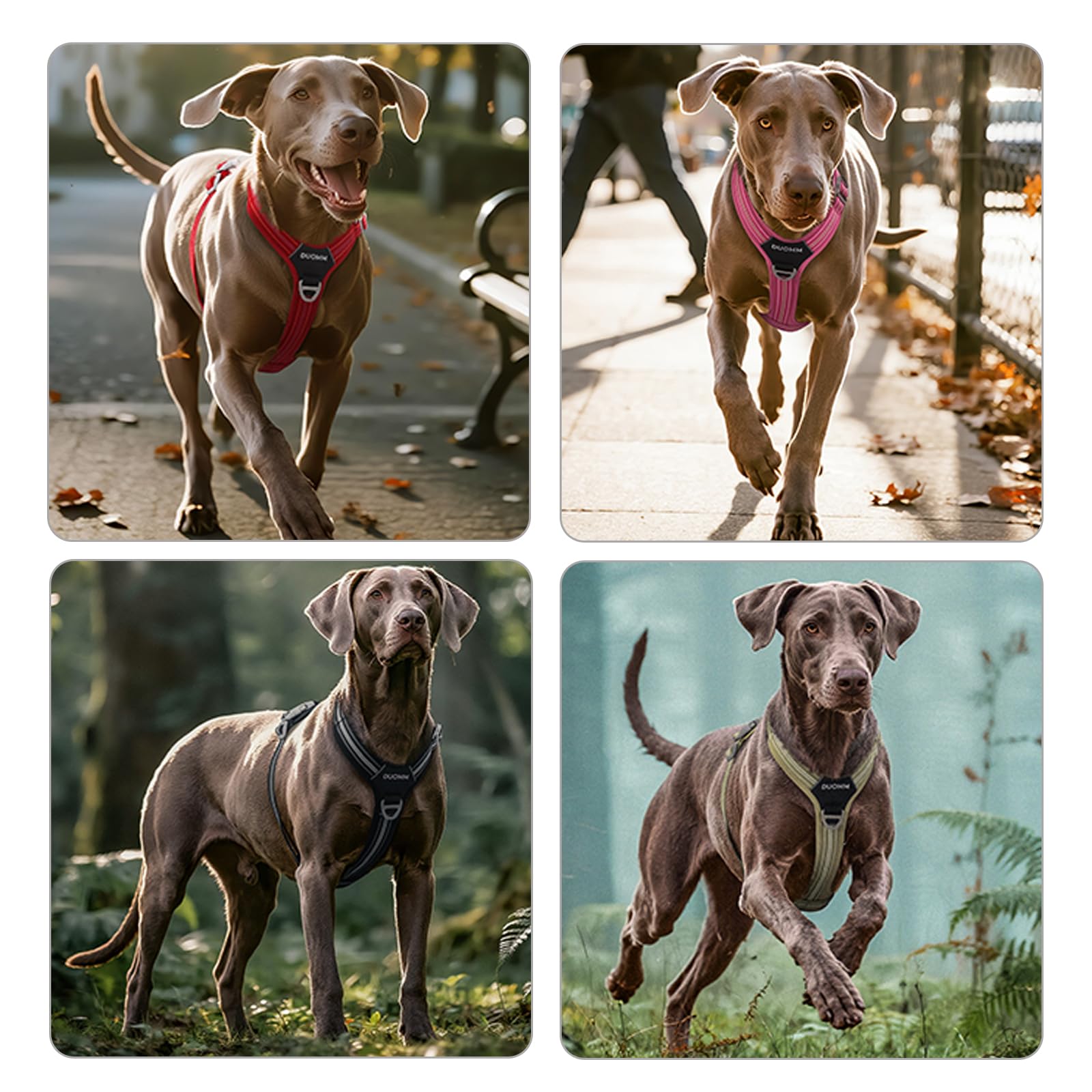 Juego de arnés y correa reflectante para perro, sin tirones, arnés de chaleco impermeable para mascotas con correa de 8.2ft / 2,5 m, gancho frontal y trasero de doble clip resistente, asa de