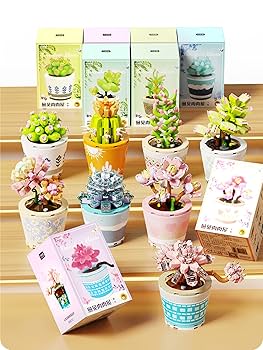 Succulents SucculentsII 2冊セット Succulents SucculentsII 2冊セット Succulents SucculentsII 2