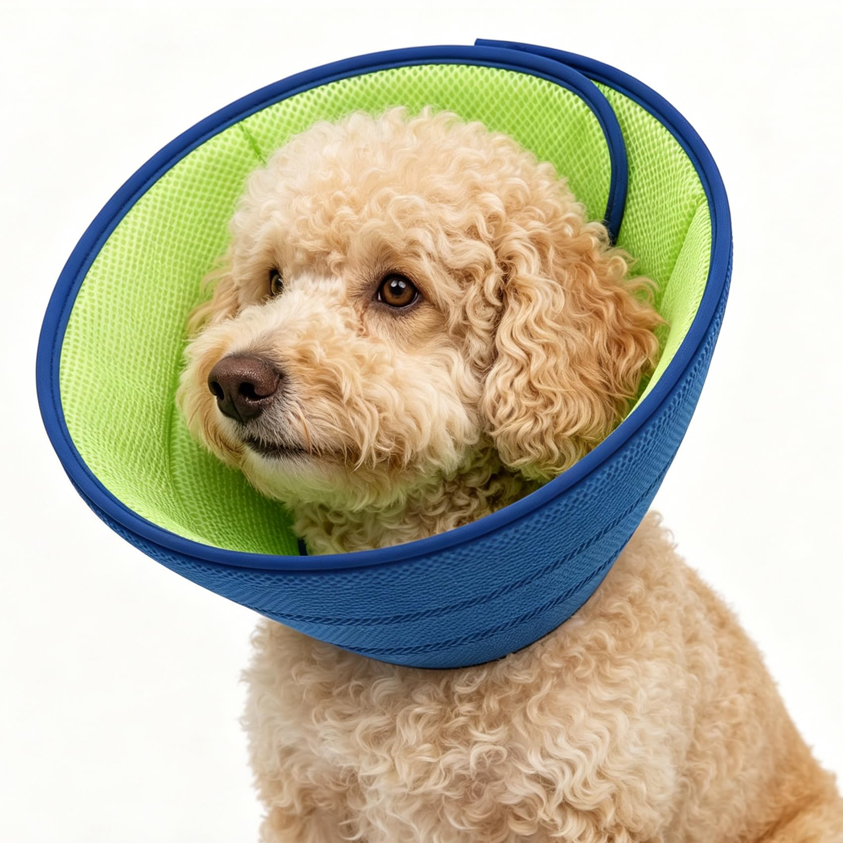 Photo 1 of nitryice Dog Cone Collar, Blue, Size S
