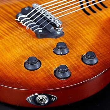 Amazon | LANDSCAPE (ランドスケープ) エレアコ エレガット