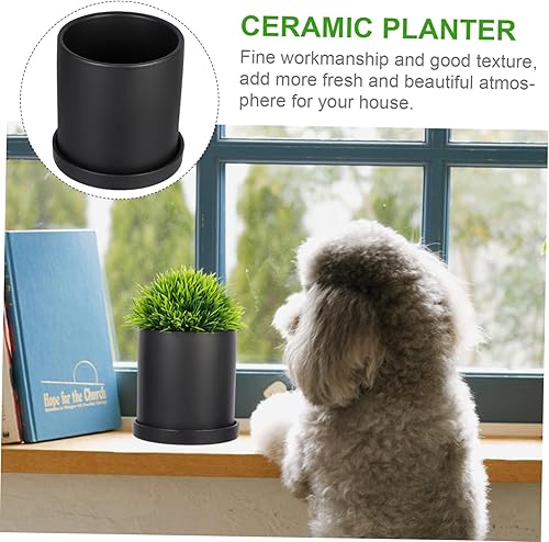 Miniatura 9 de 1 maceta de cerámica mate para bonsái