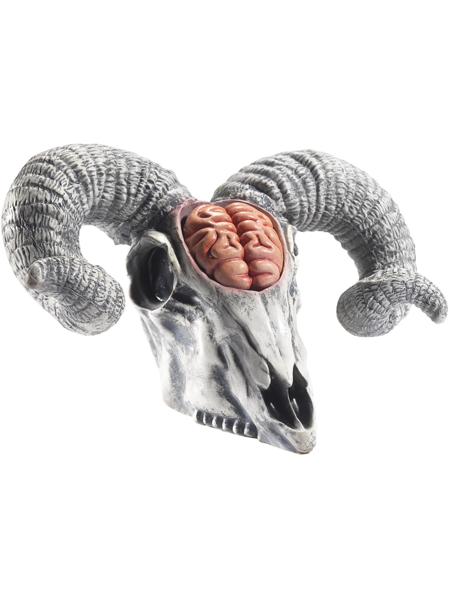 Smiffys Latex Rams Skull Prop with Exposed Brain, Natural 33x20x19cm/13x8x7in, Halloween Fancy Dress Accessory, Animal Dress Up Halloween decorations