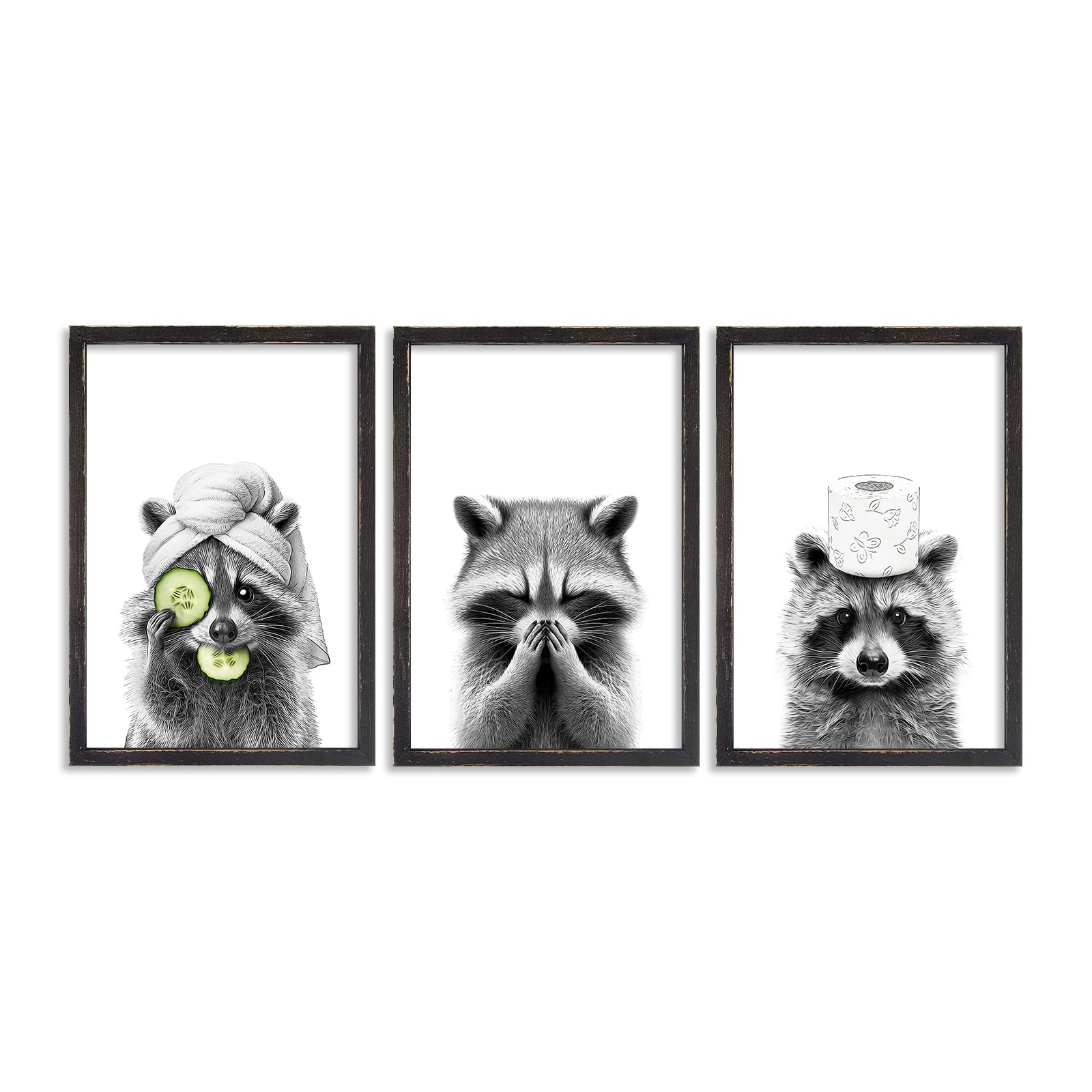 Adorable Raccoon Framed Set