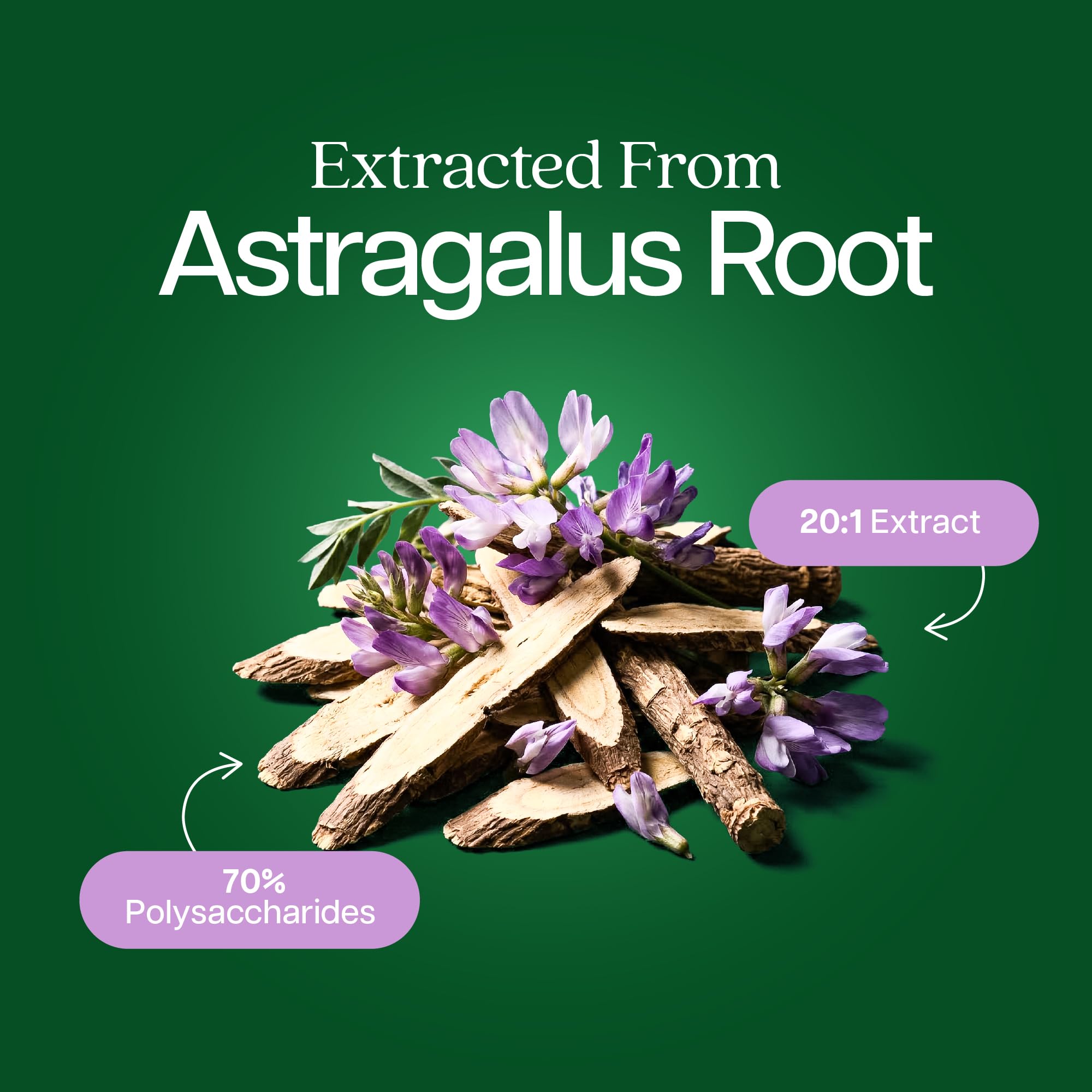 Astragalus Root, 8 Month Supply, Immune Support, 20:1 Astragalus Extract — Amazon image 3