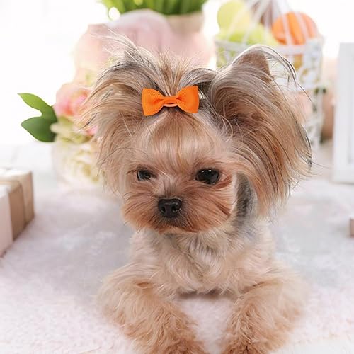 Miniatura 2 de 40 lazos (20 pares) para el pelo de perro con bandas de goma, lazos para cachorros para perros y niñas de tamaño pequeño, lazos para el pelo de