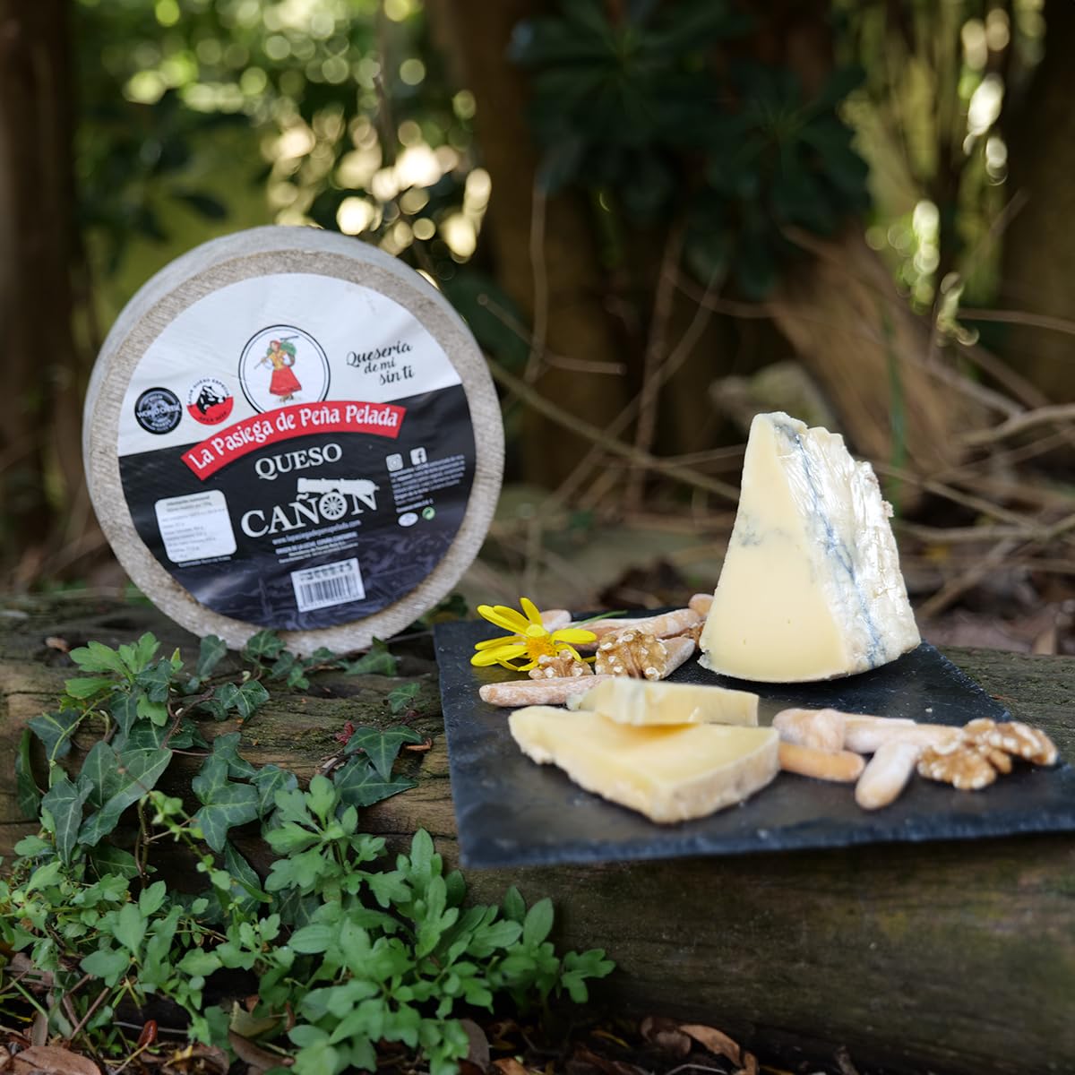 Queso Cañón PACK 2 Cuñas 300 g Al vacío Suave Mantecoso Cremoso Ceniza Vegetal
