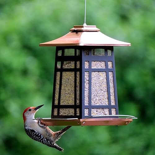 Miniatura 9 de Nature's Way Comedero colgante de semillas de aves silvestres para decoración de jardín al aire libre, comedero de cenador de cobre de metal, fácil