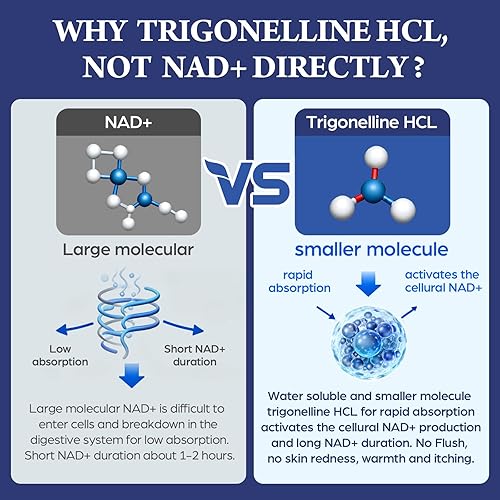 Miniatura 5 de Alternativa de fuerza NMNH con trigonelina HCL 500mg y resveratrol 100mg  Suplemento NAD para mujeres y hombres  Extracción de plantas NAD+