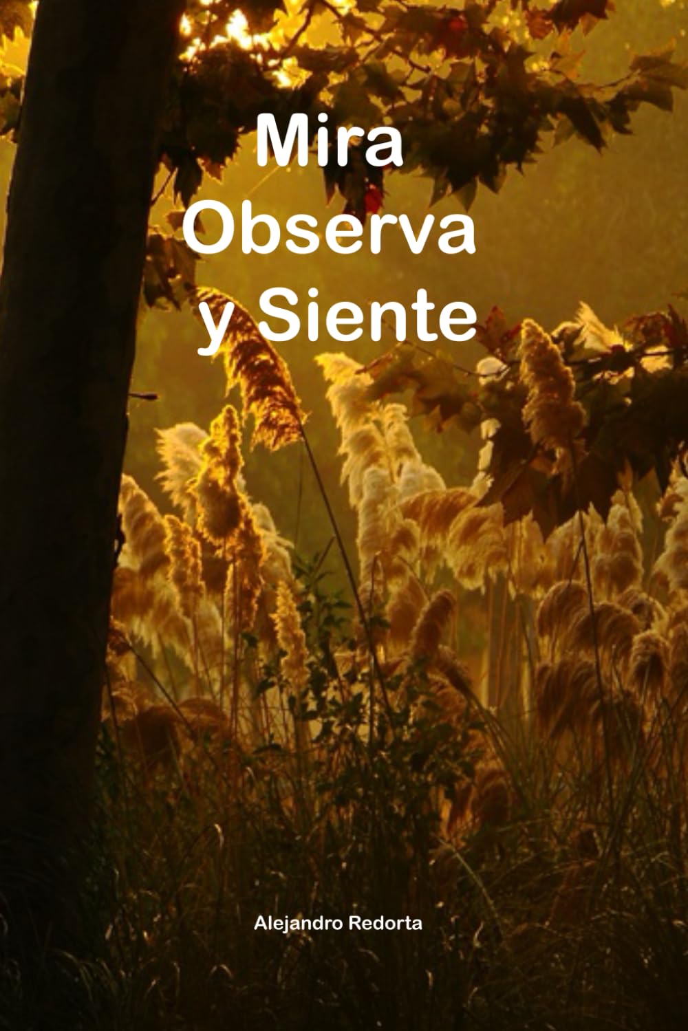Mira Observa y Siente.