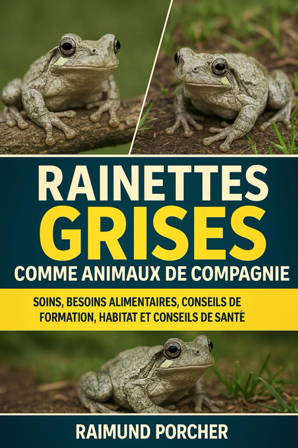 Rainettes grises comme animaux de compagnie: SOINS, BESOINS ALIMENTAIRES, CONSEILS DE FORMATION, HABITAT ET CONSEILS DE SANTÉ