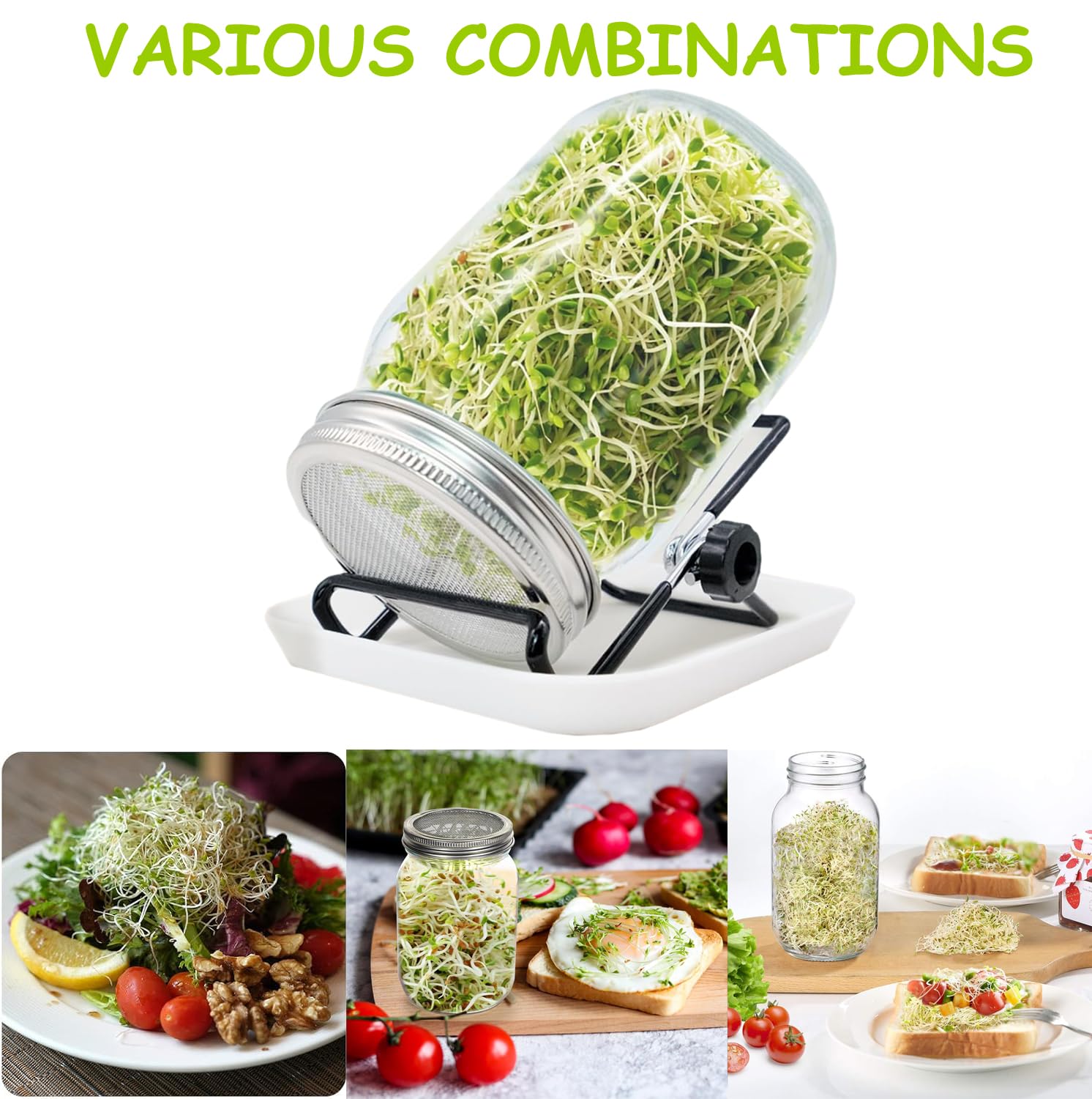Lot de bocaux à germer 1000 ml pour germination en verre à germination avec 1 bol à eau, 1 couvercle en acier inoxydable 304 et 1 support, pour alfalfa, brocoli, haricots mungo
