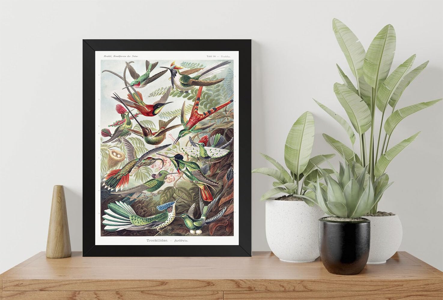 GADGETS WRAP Printed Photo Frame Matte Painting for Home Office Studio Living Room Decoration (9x11inch Black Framed) - Kolibris Vintage Poster