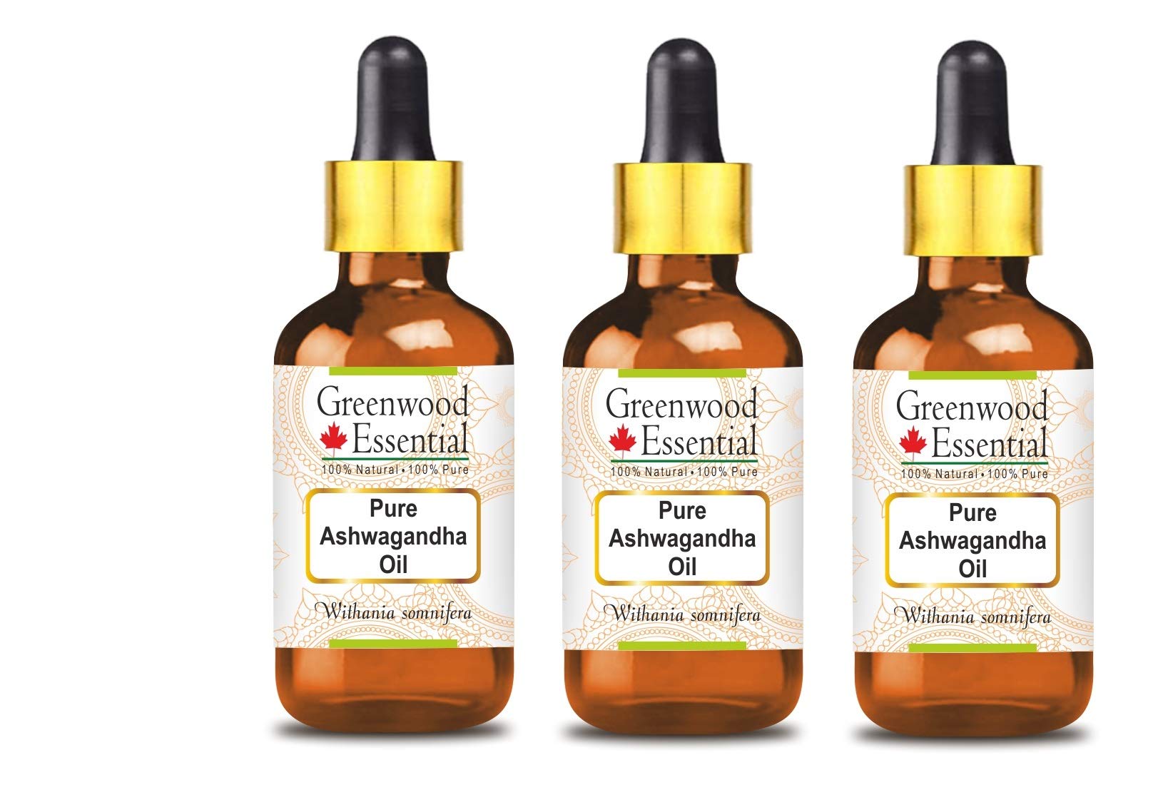 Greenwood Essential Pure Ashwagandha Oil (Withania somnifera) with Glass Dropper Premium Therapeutic Grade for Hair, Skin & Aromatherapy (Pack of Three) 100ml X 3 (10 oz)