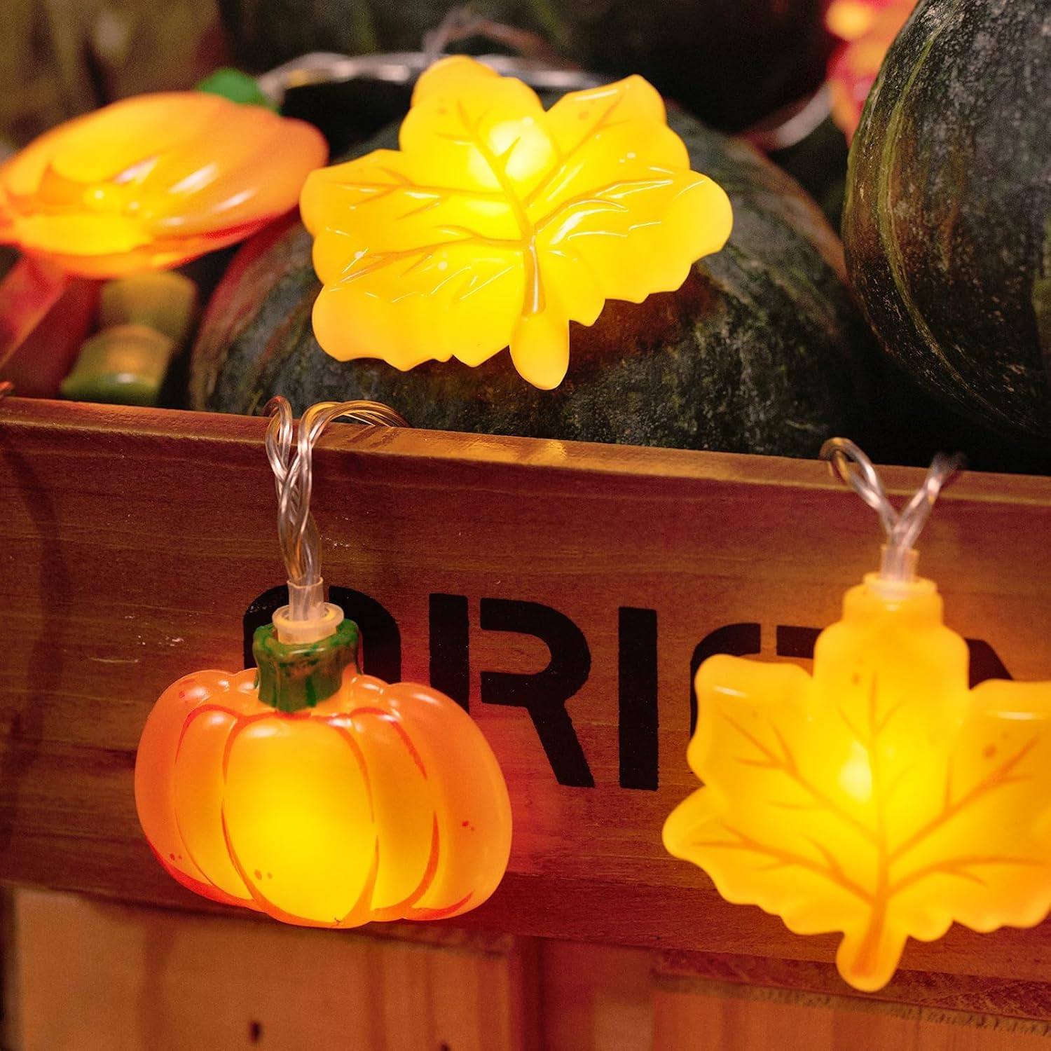 LOLStar Fall Decor Lights, 9.8FT 20 LED Thanksgiving String Lights, Battery Operated (Not Included) with Timer Function and 8 Flash Modes, Pumpkin, Maple Leaf, Acorn Light for Autumn Home Indoor Decor - Image 5