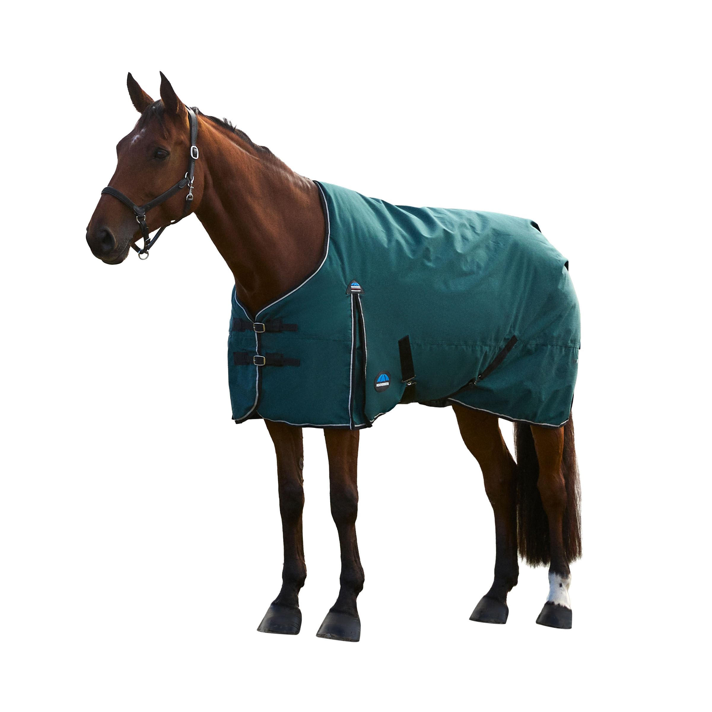 WeatherBeeta ComFiTec Classic Turnout 220g, Forest Green/Black, 5'6