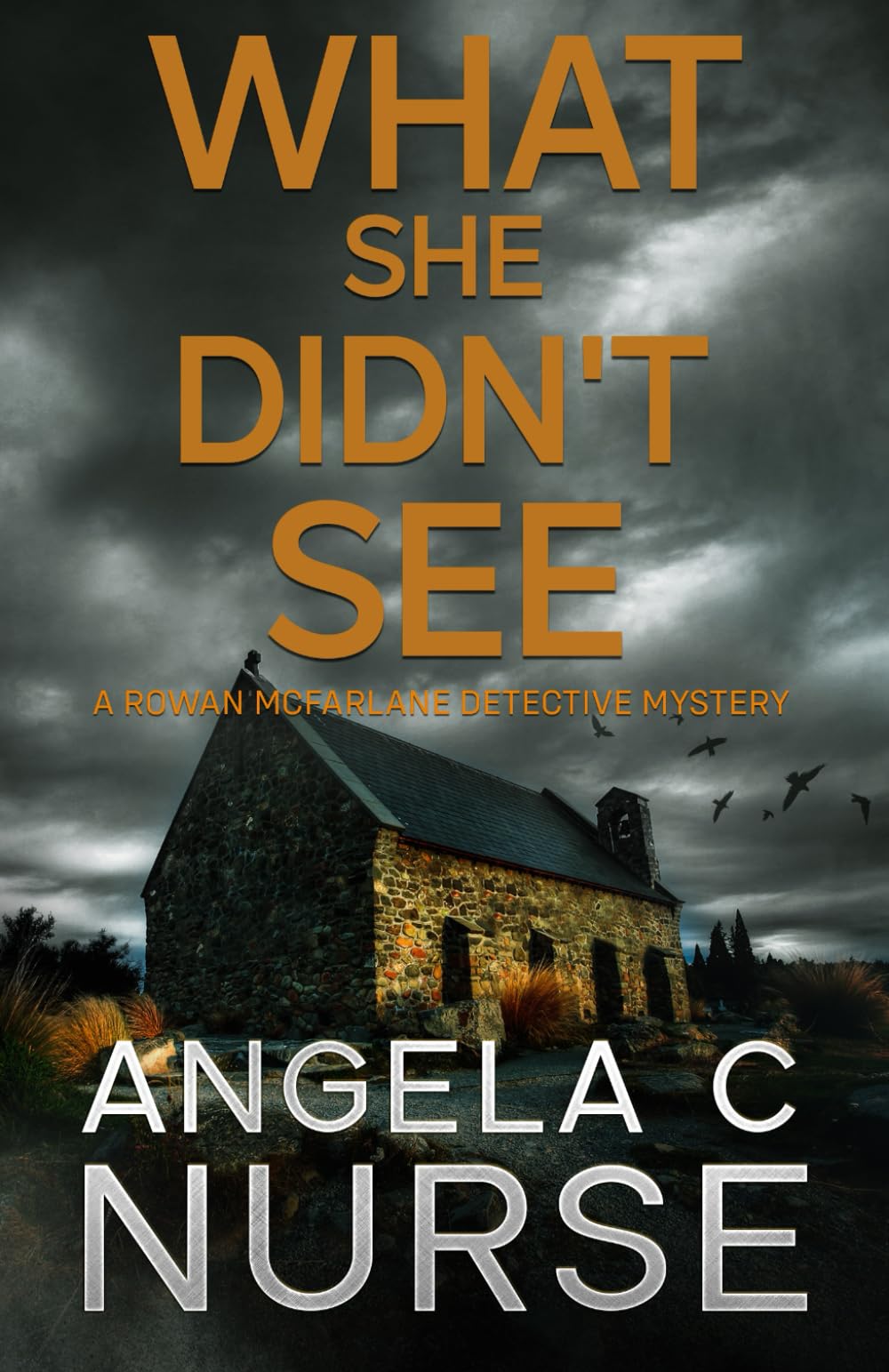 What She Didn't See: 3 (The Rowan McFarlane Detective Mysteries)