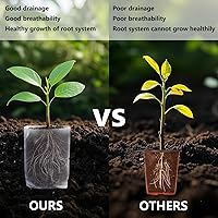 Vista 3 de Belit 100 bolsas de cultivo de enfermería, bolsa de cultivo de jardín para alta tasa de supervivencia de plántulas, plantación de plantas, semillas