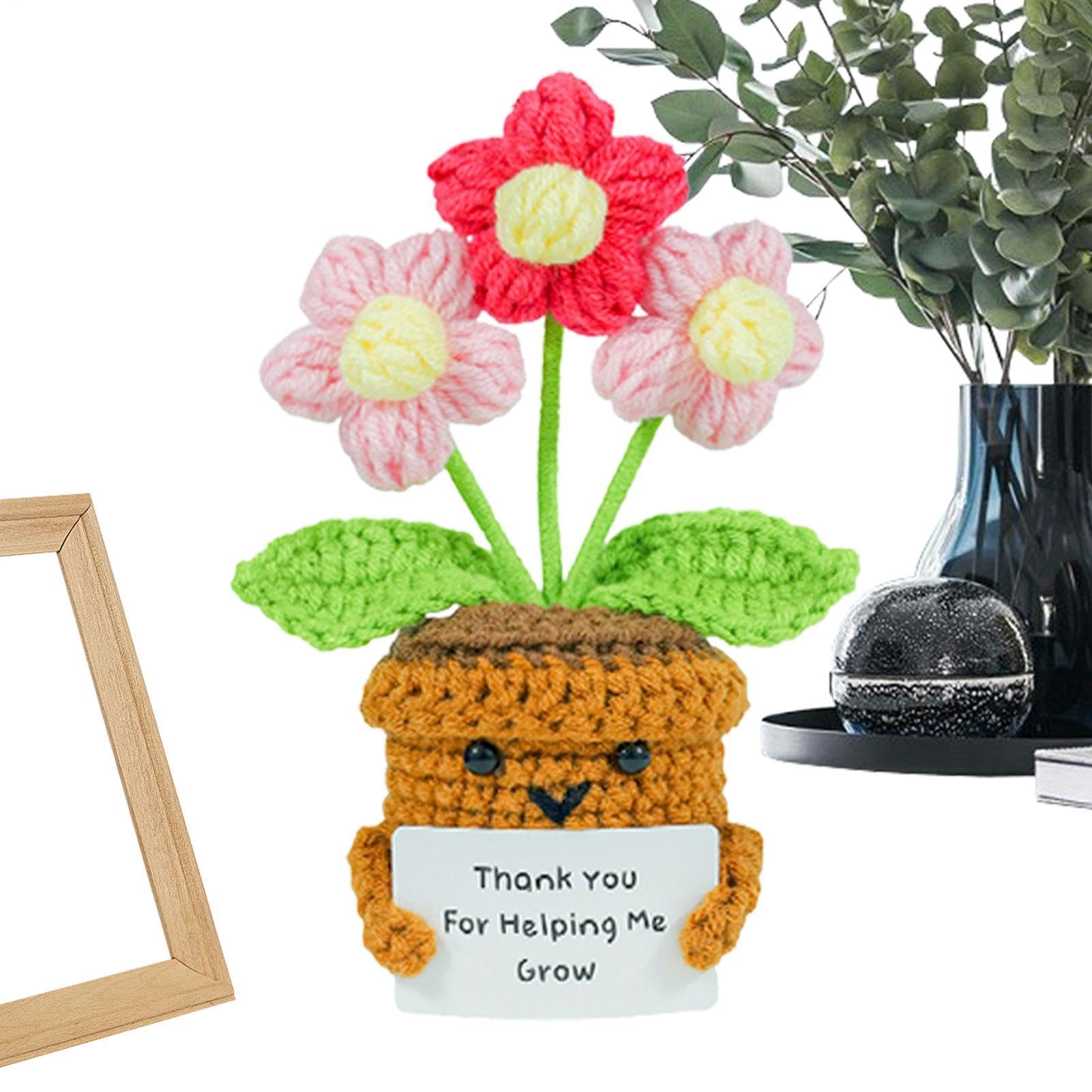 Cadeau Remise de Diplôme et Anniversaire Femme | Crochet Inspirant Fait Main