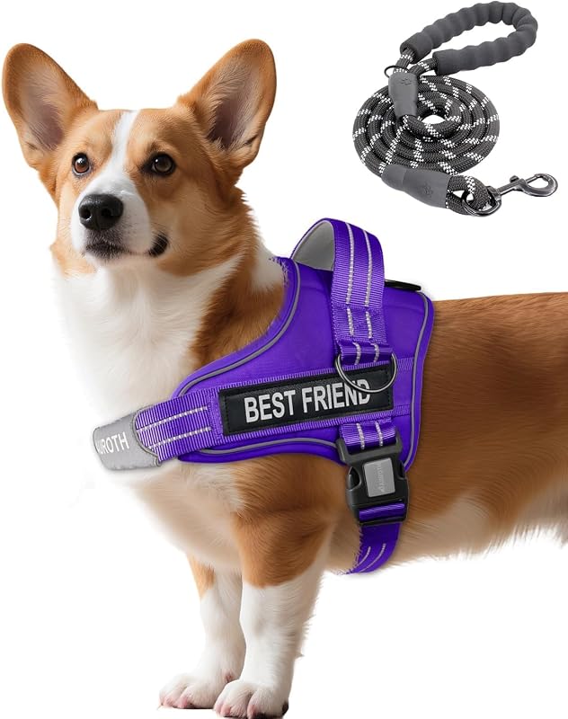 Peitoral Vest para Cães com Guia, Ajustável, Refletivo e com Design Anti-Puxão AUROTH — Tamanho Pequeno