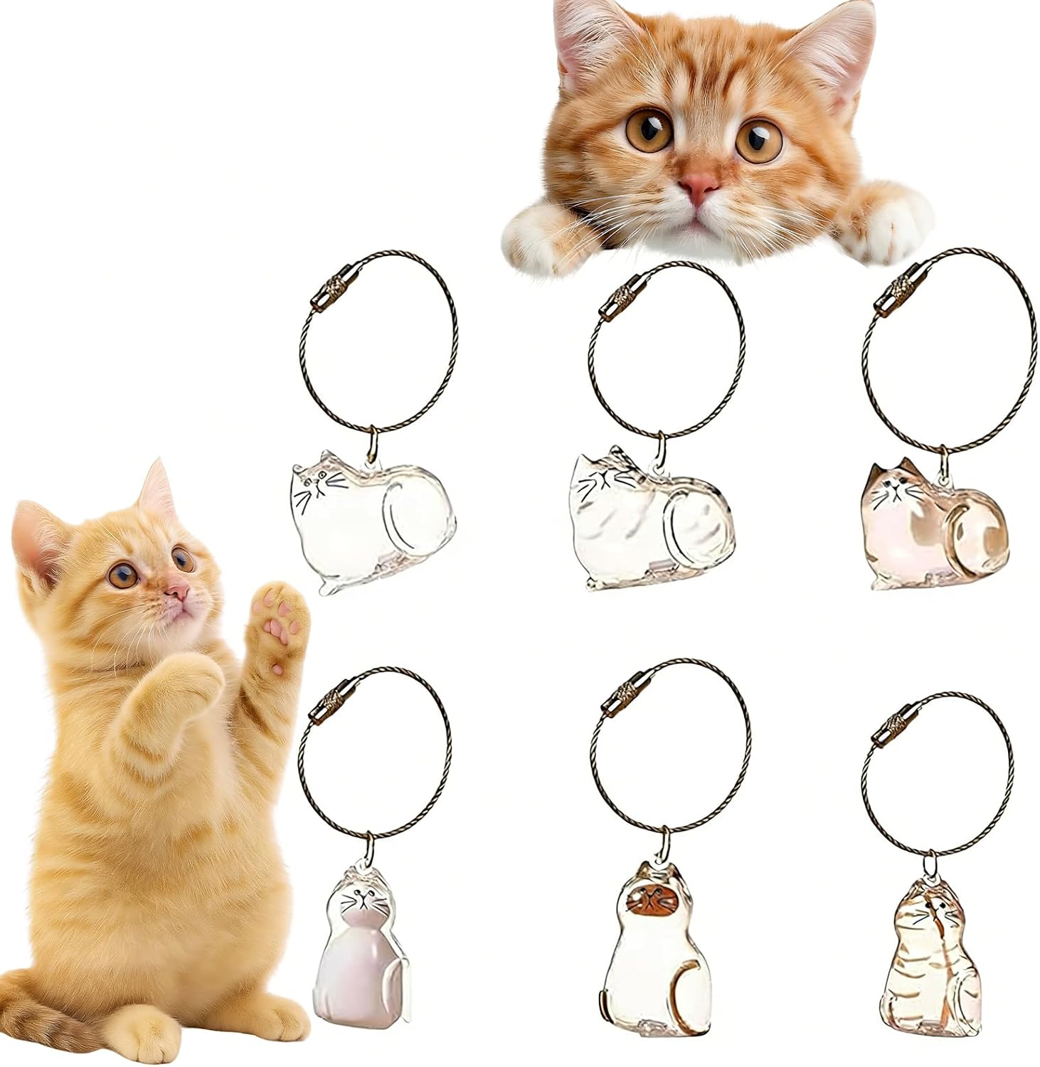 6 Pcs Cat Hair Keepsake Keychain – 2026 New Memorial Capsule Pendant for Pet Fur, Cat Shaped Acrylic Fur Holder Bottle for Cat Lovers, Thoughtful Cat Owners