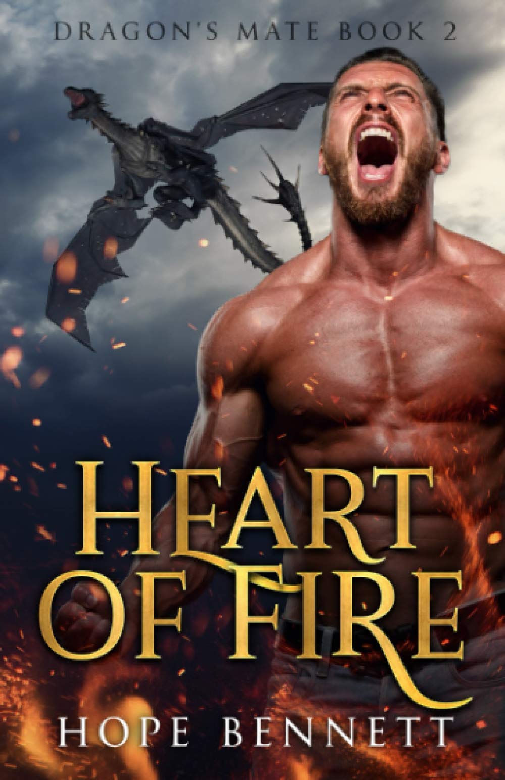 Heart of Fire: a gay dragon shifter romance (Dragon's Mate (Complete series))