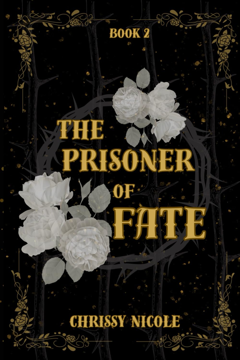 The Prisoner of Fate: 2 (Fighting Fate Series)