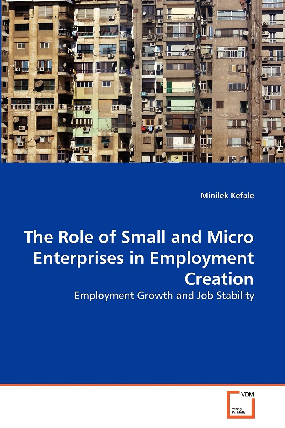 The Role of Small and Micro Enterprises in Employment Creation: Employment Growth and Job Stability