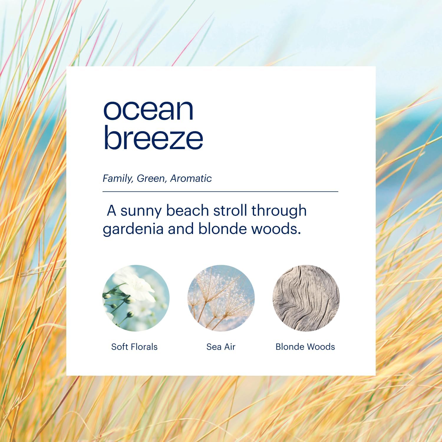 Aera True Loves Ocean Breeze - Deodorizing Home Fragrance Scent Refill for Pet Odor - Notes of Sea Air - 12.5mL - For Use With Aera Diffuser (Sold Separately)