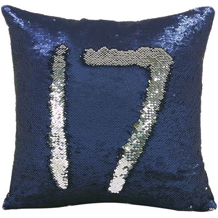 silver and blue throw pillows