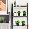 Product Photo 6