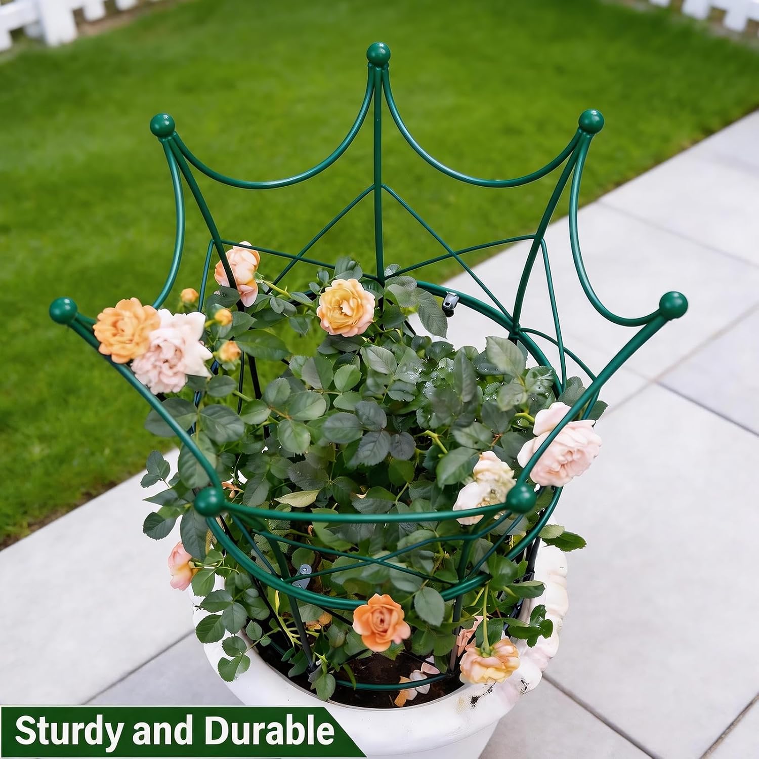 22.9" Peony Cage Sturdy Metal Plant Support for Peonies & Dahlias image 5