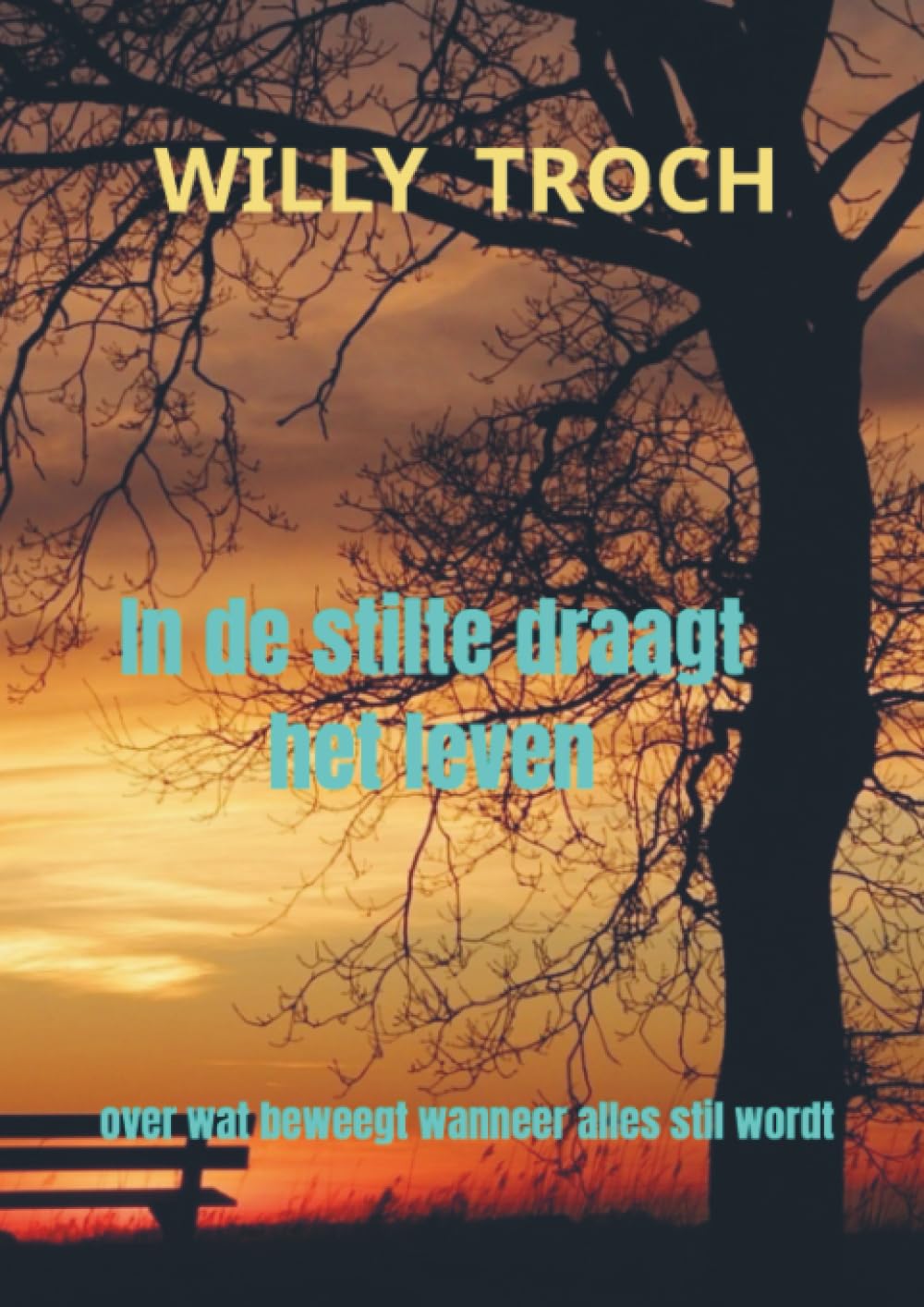 In de stilte draagt het leven: over wat beweegt wanneer alles stil wordt