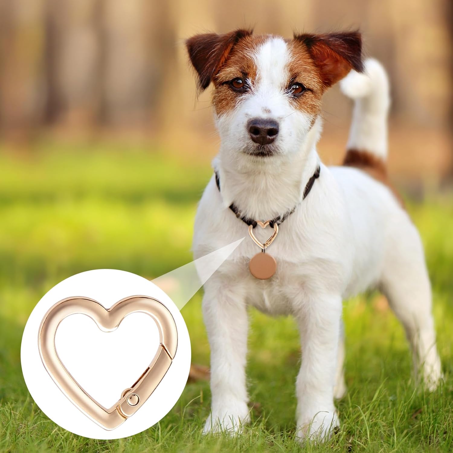 Keychain Clip, Zinc Alloy Heavy Duty Heart Carabiner, Spring Snap Clasp Hook for Camping Hiking Fishing Traveling - Image 6